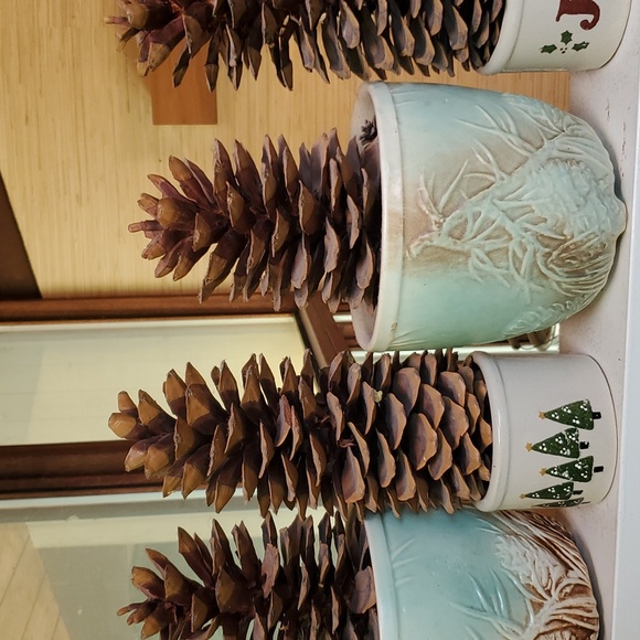 💥SOLD OUT💥Huge Authentic Sugar Pinecones 13to14inches Long - Picture 8 of 11